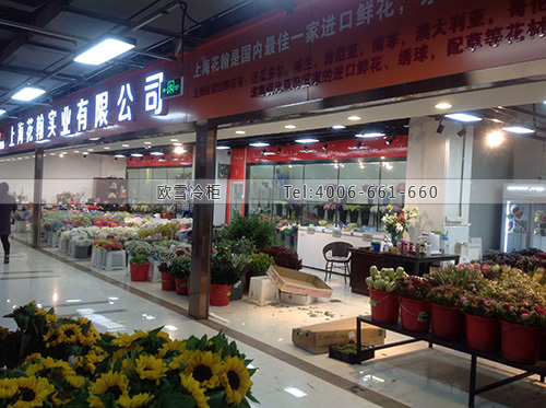 鮮花冷庫設(shè)計安裝.jpg