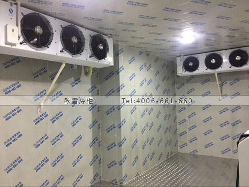 1608875773381691.jpg 682-1P41Q424443F.jpg