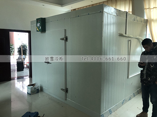 1610347066526919.jpg 1596099829763545.jpg