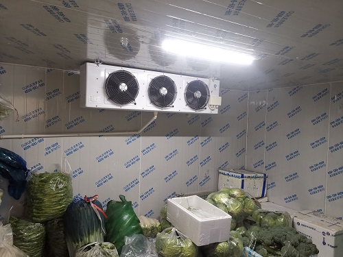 蔬菜保鮮冷庫.jpg