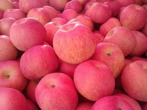 蘋果保鮮冷庫.jpg 蘋果保鮮冷庫.jpg