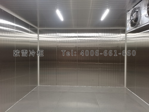 不銹鋼藥品冷藏冷庫(kù)安裝.jpg