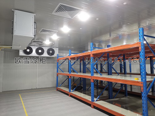 物流倉儲(chǔ)冷庫安裝.jpg
