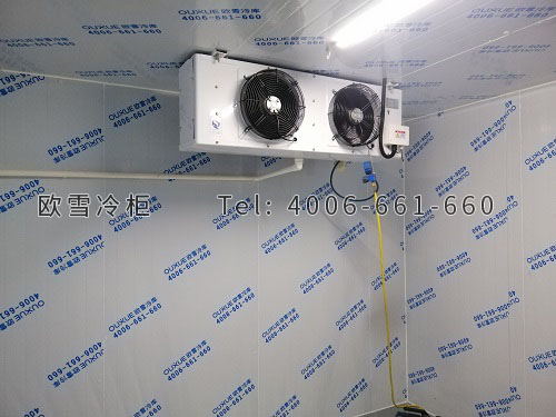 雪糕冰淇淋冷凍冷庫(kù)安裝.jpg