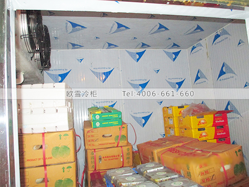 水果保鮮冷庫(kù)安裝.jpg