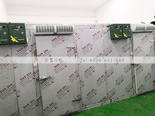 醫(yī)藥冷庫(kù)安裝.jpg