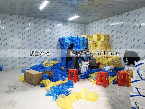 食用農(nóng)產(chǎn)品冷藏冷庫安裝.jpg