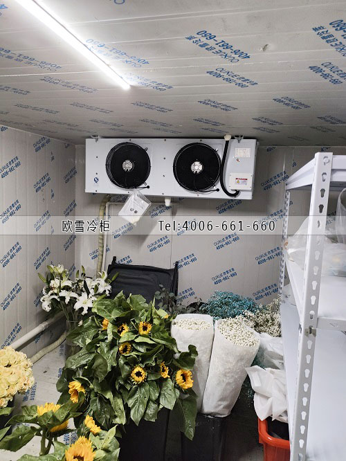 鮮花保鮮冷庫(kù)建設(shè)多少錢一平米.jpg 鮮花保鮮冷庫(kù)建設(shè)多少錢一平米.jpg