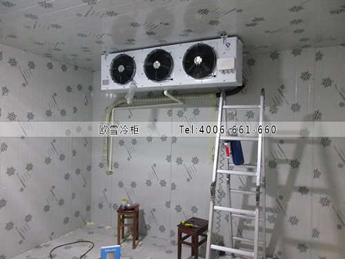 洋蔥冷庫(kù).jpg 洋蔥冷庫(kù).jpg