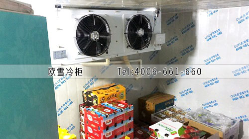 水果保鮮冷庫(kù)安裝.jpg