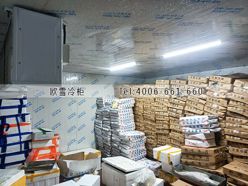 海鮮冷凍冷庫(kù)安裝.jpg
