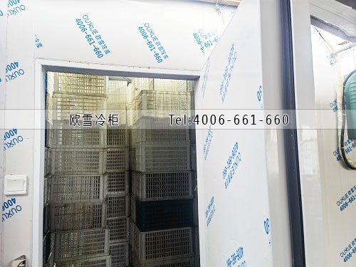 水果保鮮冷庫安裝.jpg