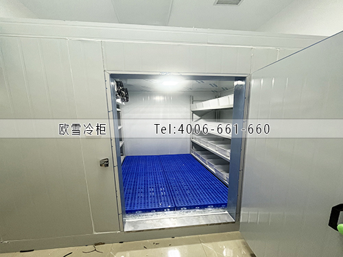 醫(yī)藥冷藏冷庫(kù)安裝.jpg
