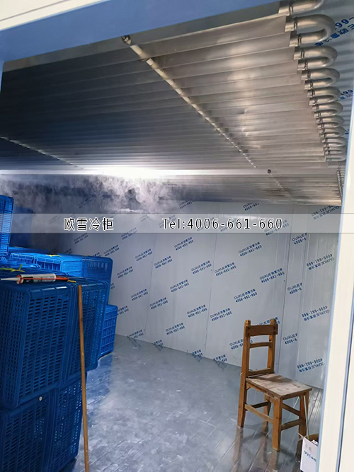 直冷冷庫.jpg 直冷冷庫.jpg
