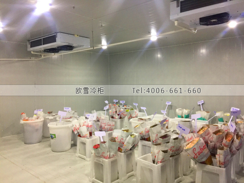 廣東省深圳市福田區(qū)自主創(chuàng)業(yè)孵化基地保鮮庫