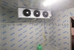 冷庫建設(shè)多少錢一平方？小型冷庫工程安裝建造