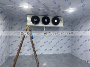深圳龍華區(qū)零下18度的冷凍冷庫安裝案例