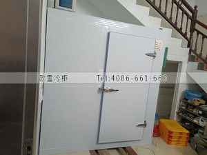 廣西南寧小型水果保鮮冷庫(kù)安裝案例