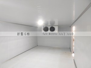 湖南長沙70立方的藥品原材料冷庫安裝案例